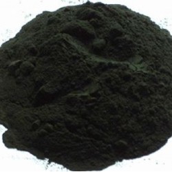 Thunderbrook Spirulina Pratensis (POWDERED ALGAE) 1KG